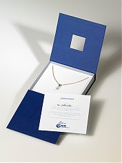 Bild Nr.4 zum Thema: bluDNA® - Jewels and - Safe
