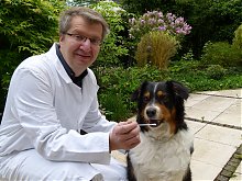 Bild Nr.2 zum Thema: Mischlingsanalyse Hund